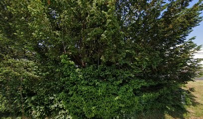 OSTÉOPATHE Fromentin Maud, Ostéopathe à Dangé-Saint-Romain