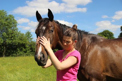 Ostéopathe Animalier - Clarisse Guiné, Ostéopathe à Poligny