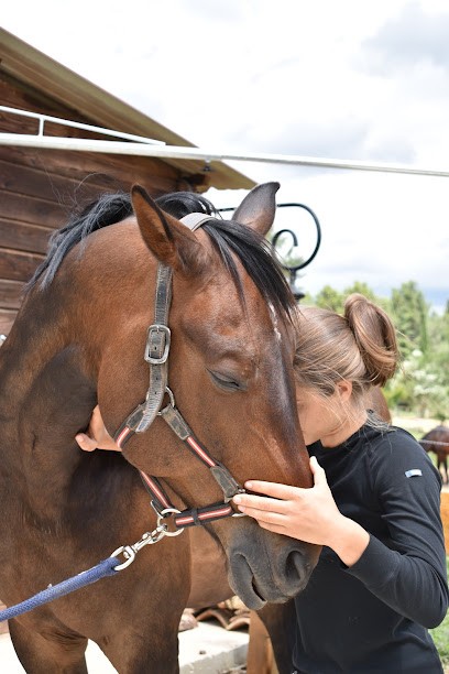 Ostéopathe Pour Animaux- Eva Dupont, Ostéopathe à Peyrolles-en-Provence