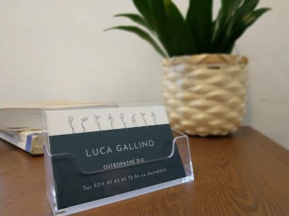 Luca GALLINO OSTEOPATHE D.O., Ostéopathe à Saint-Jean-de-Luz