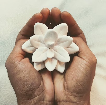 SOA : Cabinet D'ostéopathie Avec Sarah Viana, Ostéopathe à Corbas