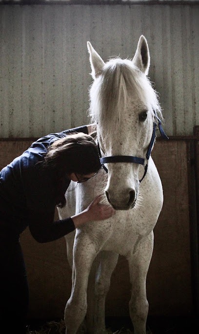 Anne Lise Dodemont - Ostéopathe Animalier, Ostéopathe à Saint-Satur