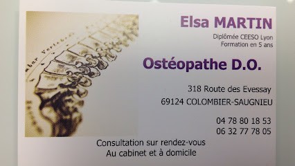 Elsa MARTIN Ostéopathe DO, Ostéopathe à Colombier-Saugnieu