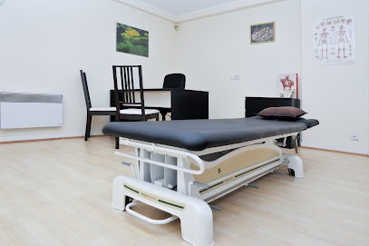 Arthur Ferdinand, Ostéopathe à Roubaix