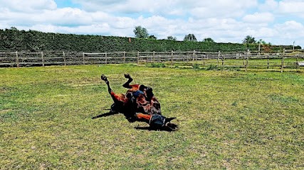 Helene Bony Osteopathe Animalier, Ostéopathe à Riom