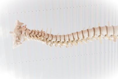 ARLA Maider OSTEOPATHE D.O, Ostéopathe à Tarnos