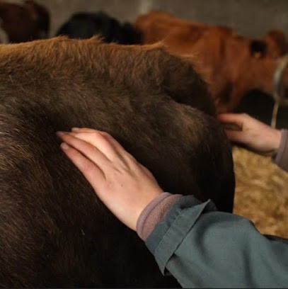 Axelle Bazire - Ostéopathe animalier, Ostéopathe à Brive-la-Gaillarde