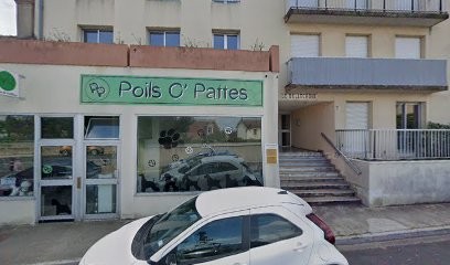 Piccioni Benjamin, Ostéopathe à Yzeure