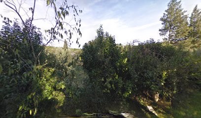 Blasco Celine, Ostéopathe à Boulbon