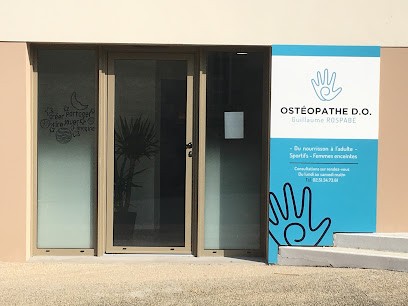 Rospabé Guillaume Osteopathe, Ostéopathe à Chavagnes-en-Paillers