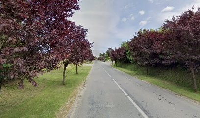 DUCROCQ Louis - Ostéopathe DO, Ostéopathe à Nielles-lès-Bléquin