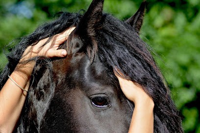Ostéopathe Animalier Audrey Auzas, Ostéopathe à Meyras