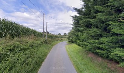 Alexis Lion, Osteopathe Animalier, Ostéopathe à Moyon Villages