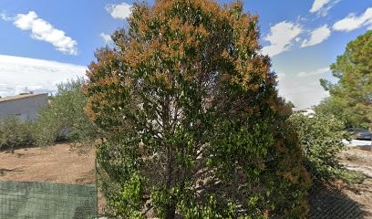 Serrano Patricia, Ostéopathe à Lézan
