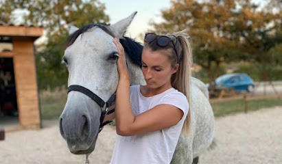 Grimaud Mélodie Ostéopathe Animalier, Ostéopathe à Eygalières