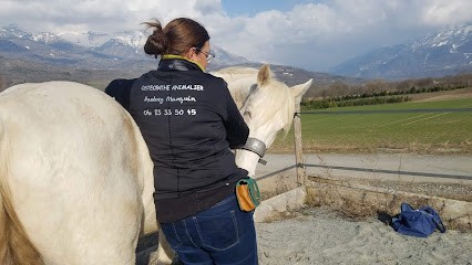 Audrey Manguin, Ostéopathe à Saint-Laurent-du-Cros