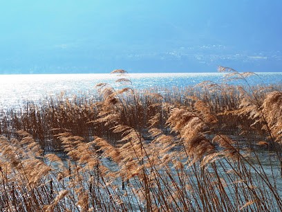 Festor Yannick, Ostéopathe à Metz