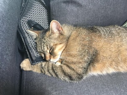 Ostéopathe Animalier Bovin Équin Canin Félin - Paul Niel OA148, Ostéopathe à Vendôme