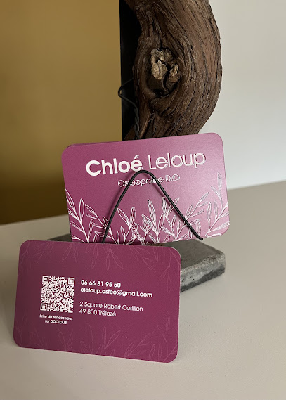 Chloé Leloup - Ostéopathe D.o Ostéopathe à Trélazé