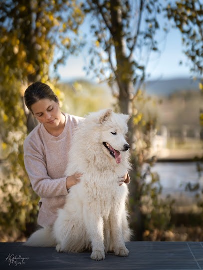 Mélanie Ramero - Ostéopathe Pour Animaux OA 537, Ostéopathe à Trets