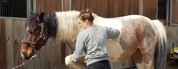 Ostéopathe Pour Animaux - Ariane VASSEUR, Ostéopathe à Mulhouse