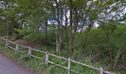 Carpentier Marie, Ostéopathe à Lahonce