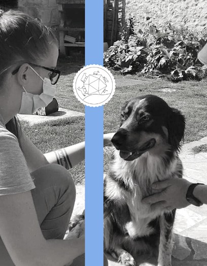 Mallaury RAYE - Ostéopathe Animalier, Ostéopathe à Pronleroy