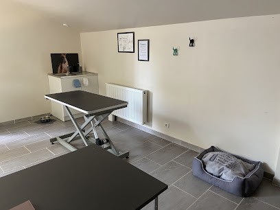 Ostéopathe animalier - Roxane Laugel (OA 1099), Ostéopathe à Bonsecours