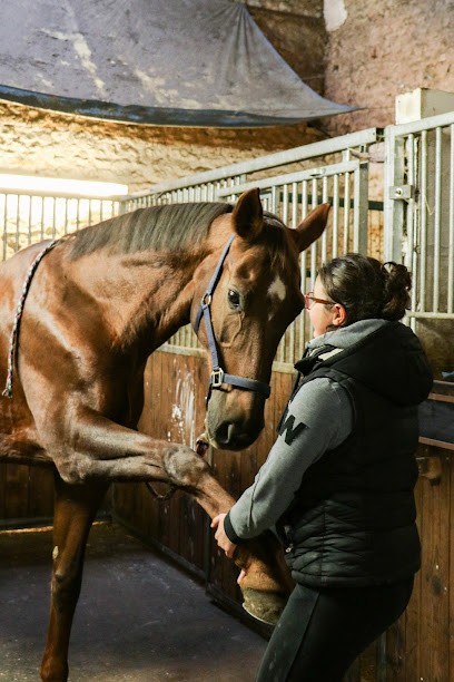 Mélanie Pierre Ostéopathe Animalier, Ostéopathe à Arnac-la-Poste