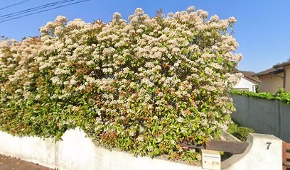 Vivien Anne-Marie, Ostéopathe à Noisy-le-Grand