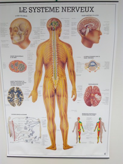 Alexandre MURY, Ostéopathe à Vienne