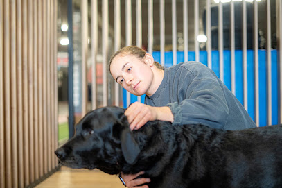 Ostéani - Emilie Chesnel (Ostéopathe Pour Animaux) Ostéopathe à Blagnac
