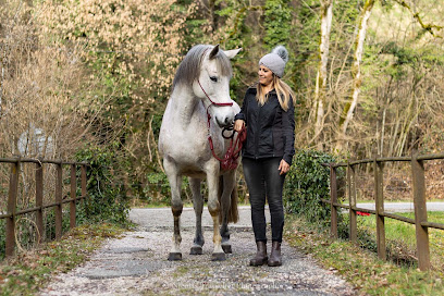 Ostéopathe Animalier Lydie Autrand Ostéopathe à Choisy