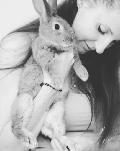 Alison Lardant - Ostéopathe CANIN -, Ostéopathe à Saint-Cyr-sur-Mer