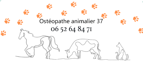 Charline Fouché - Ostéopathe Animalier Ostéopathe à Tours