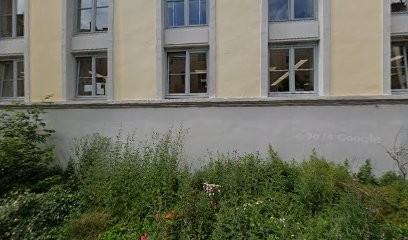 Théo GEORGES Ostéopathe D.O, Ostéopathe à Lyon 01