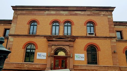 L'Ostéo David CORDON DE GHESELLE, Ostéopathe à Colmar