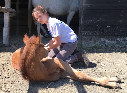 Cabinet D'Osteopathie Animale, Ostéopathe à La Roche-sur-Yon