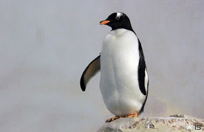 Yann Berthelot, Ostéopathe à Mantes-la-Jolie