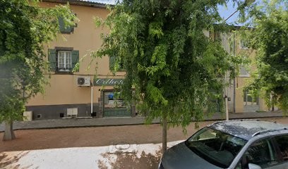 Poujol Laurent, Ostéopathe à Maringues