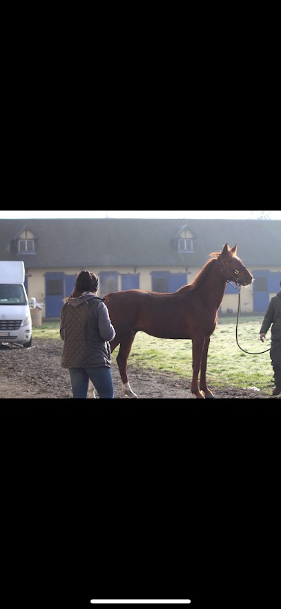 Complexe Equin, Ostéopathe à Rânes
