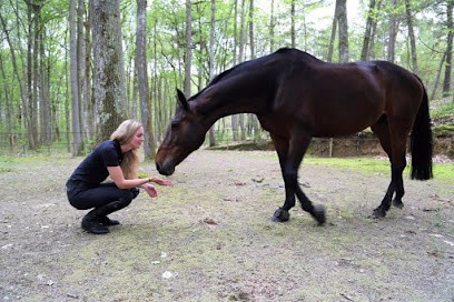 Ostéopathe animalier (Equin & Canin & Félin) Carole-Anne TANNIERE inscrite au RNA sous le numéro OA410, Ostéopathe à Clairefontaine-en-Yvelines