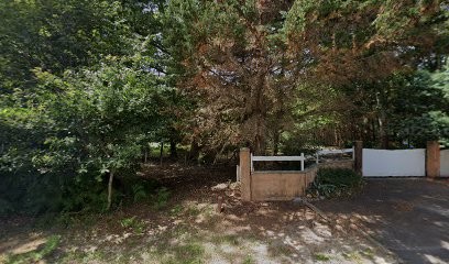 Moteau Regnacq Elisabeth Laurence, Ostéopathe à Saint-Michel-Escalus