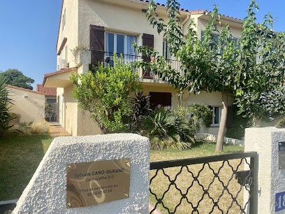 Ostéopathe / Conseiller En Nutrition. Saint-André - Sylvain Cano--Durand, Ostéopathe à Saint-André
