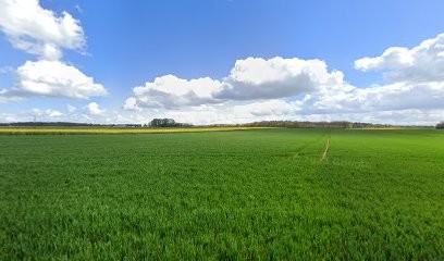 Beaume Nathalie ostéopathe, Ostéopathe à Saint-Firmin-des-Bois