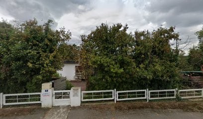 Jean-Louis Lapuyade, Ostéopathe à Chancenay