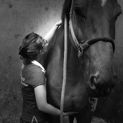 Pauline Ducousso - Ostéopathe Animalier Inscrite Au RNA OA 24 (équin, Canin, Félin, Bovin ...) Paris / IDF / Oise, Ostéopathe à Parmain