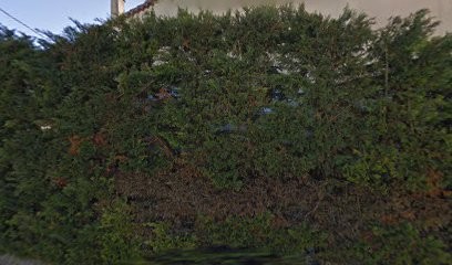 Germa Bigo Veronique Blanche, Ostéopathe à Crest