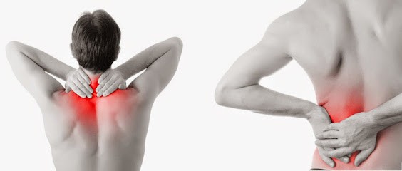 Delphine Guillard Ostéopathe D.O., Ostéopathe à Coulon