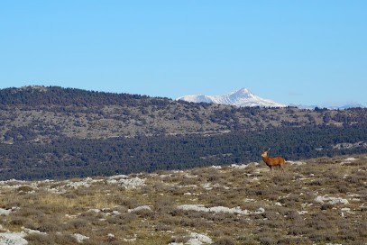 Guillaume Darengosse Ostéopathe DO, Ostéopathe à Saint-Sauveur-sur-Tinée
